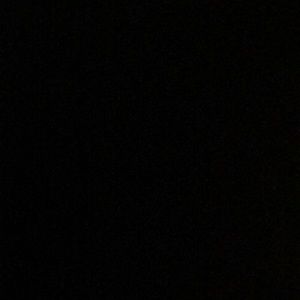 Meet your Posher, Shayanne